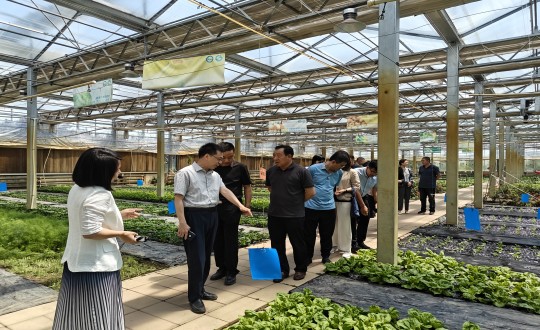 2024年6月27日，中国绿色食品发展中心有关辅导莅临农业总公司调查调研_副本.jpg