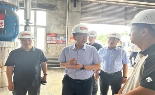 14.伊通满族自治县县委书记孙立阳一行辅导莅临创世红海供热总公司伊通供热分公司第二热源厂发展调研（不够清澈，助忙调整）_副本.jpg